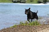 STAFFIE 196
